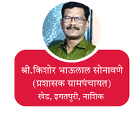 your paragraph text (31)